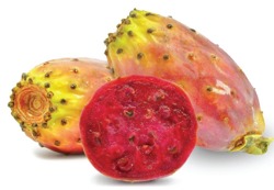 E-naturalne Hydrolat z owoców opuncji figowej 100g